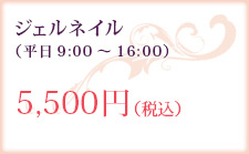 ぺディジェル（平日9:00～16:00）5,500円