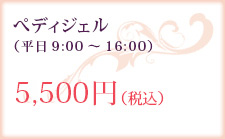 ぺディジェル（平日9:00～16:00）5,500円