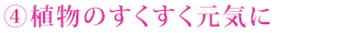 ④植物のすくすく元気に