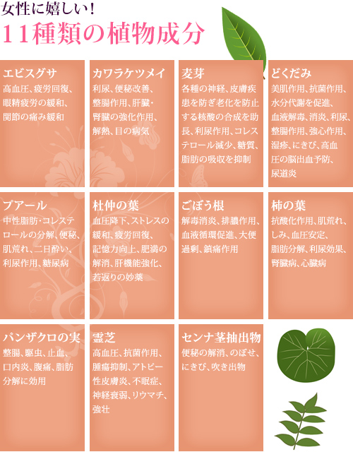 11種類の植物成分